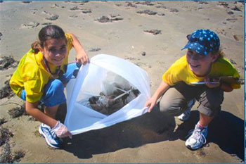 Beach Clean Up