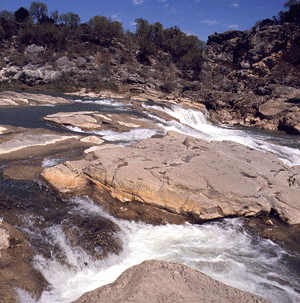 Hill Country scene