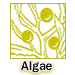 algae TPWD illustration by Rob Flemming.