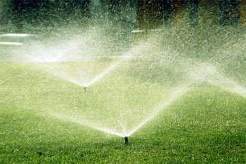 Watering Lawns