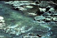 photo of water and rocks in a riffle