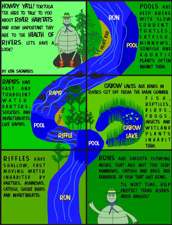 Tortuga Tex describes parts of a river