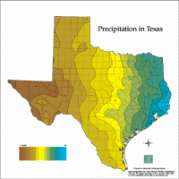 Texas Rainfall