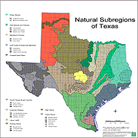 Texas Natural Subregions with numbered regions, in color