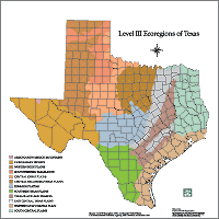 Level III Ecoregions of Texas with County Outlines